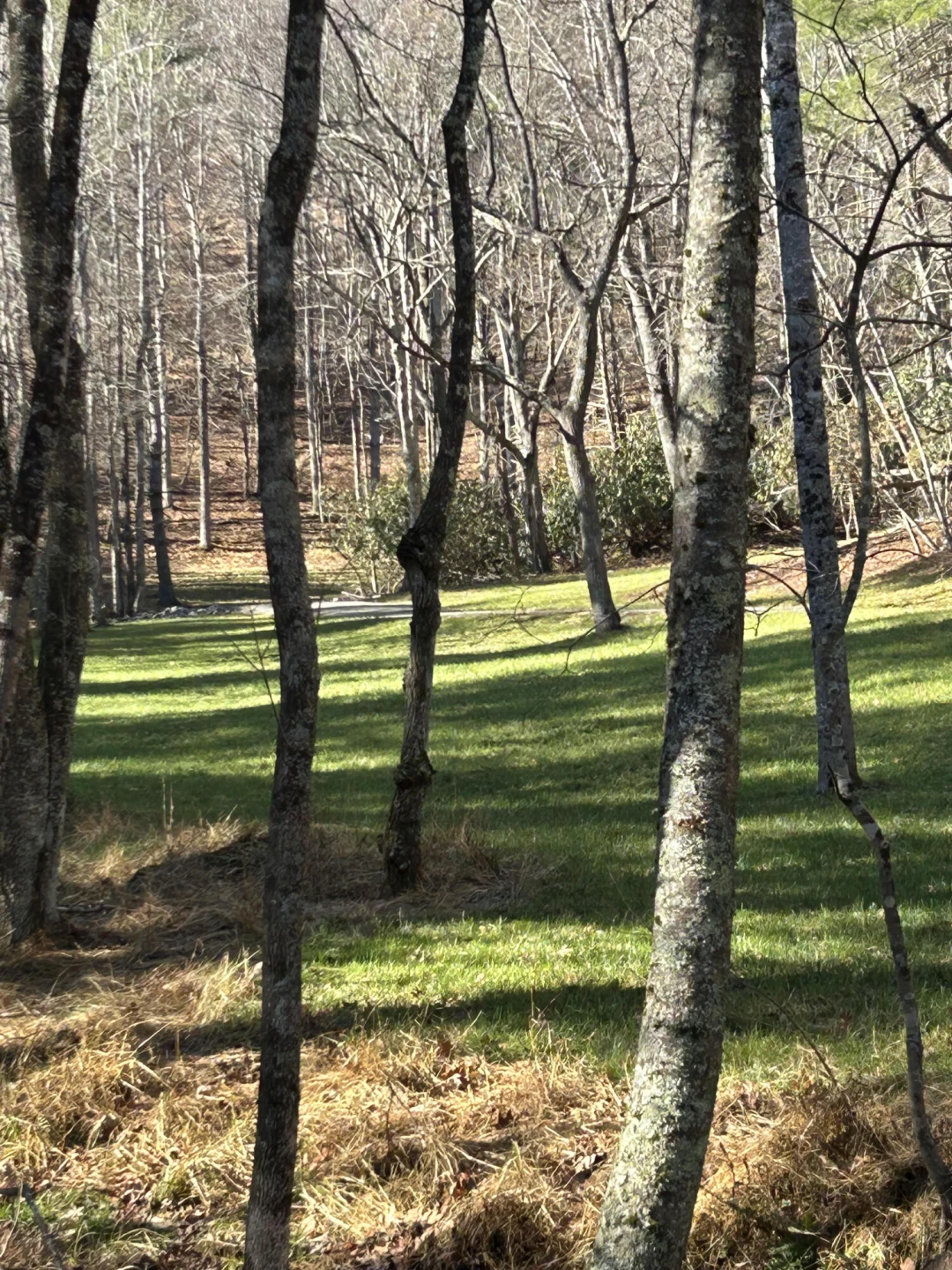 0 Bottom Creek RD - Photo 2