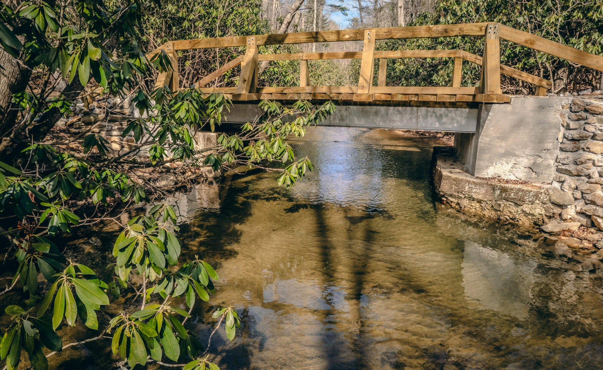 0 Bottom Creek RD - Photo 4