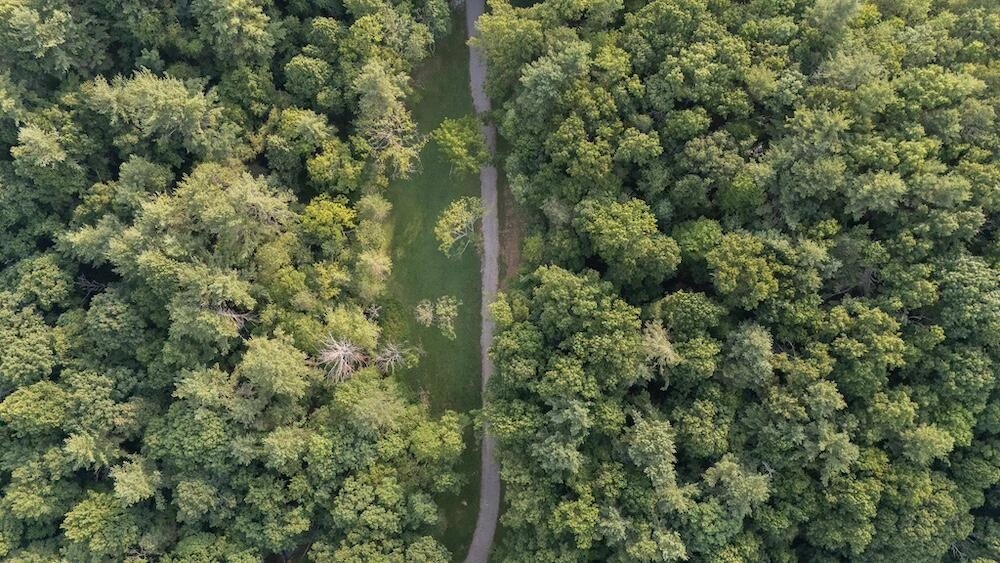 0 Bottom Creek RD - Photo 16