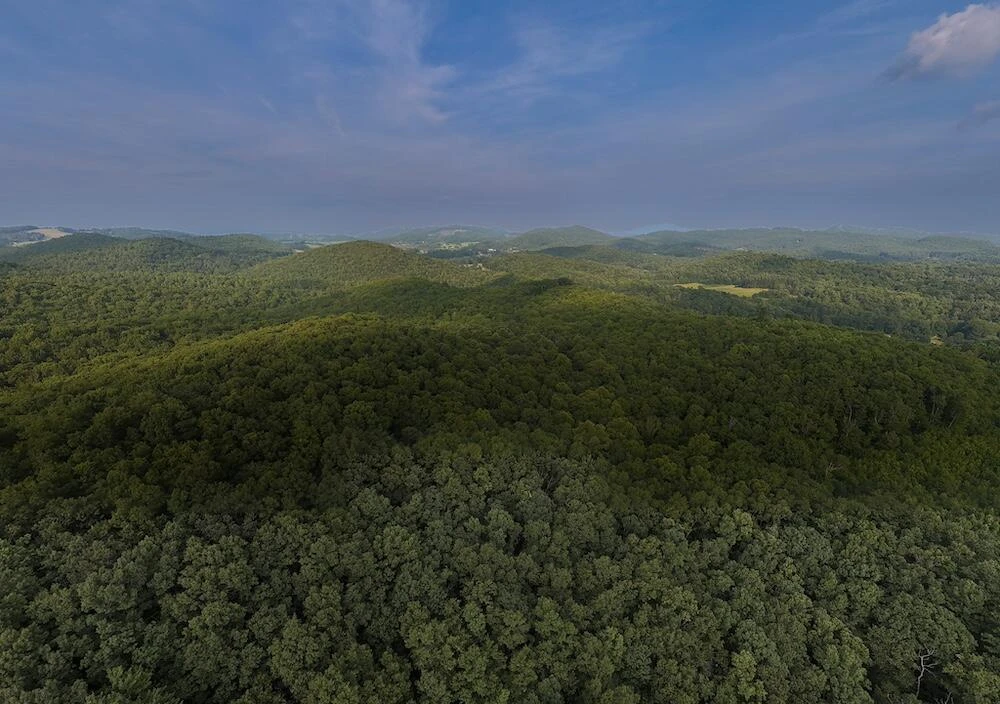 0 Bottom Creek RD - Photo 17