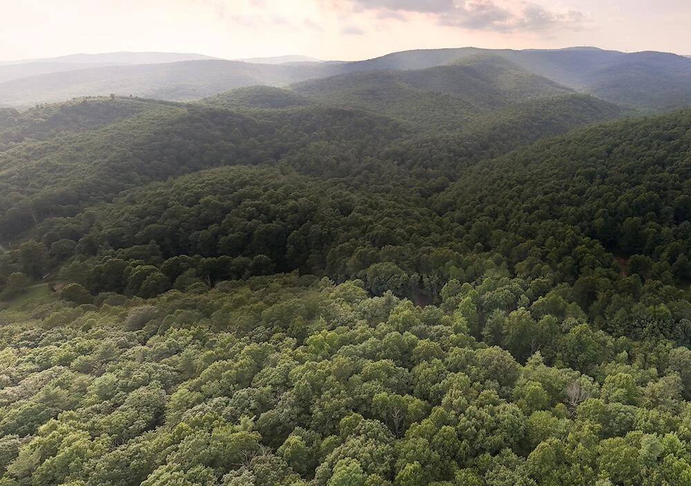 0 Bottom Creek RD - Photo 18