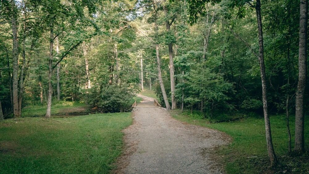 0 Bottom Creek RD - Photo 22