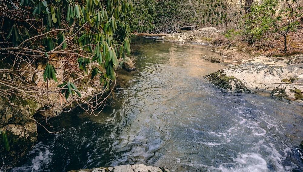 0 Bottom Creek RD - Photo 23
