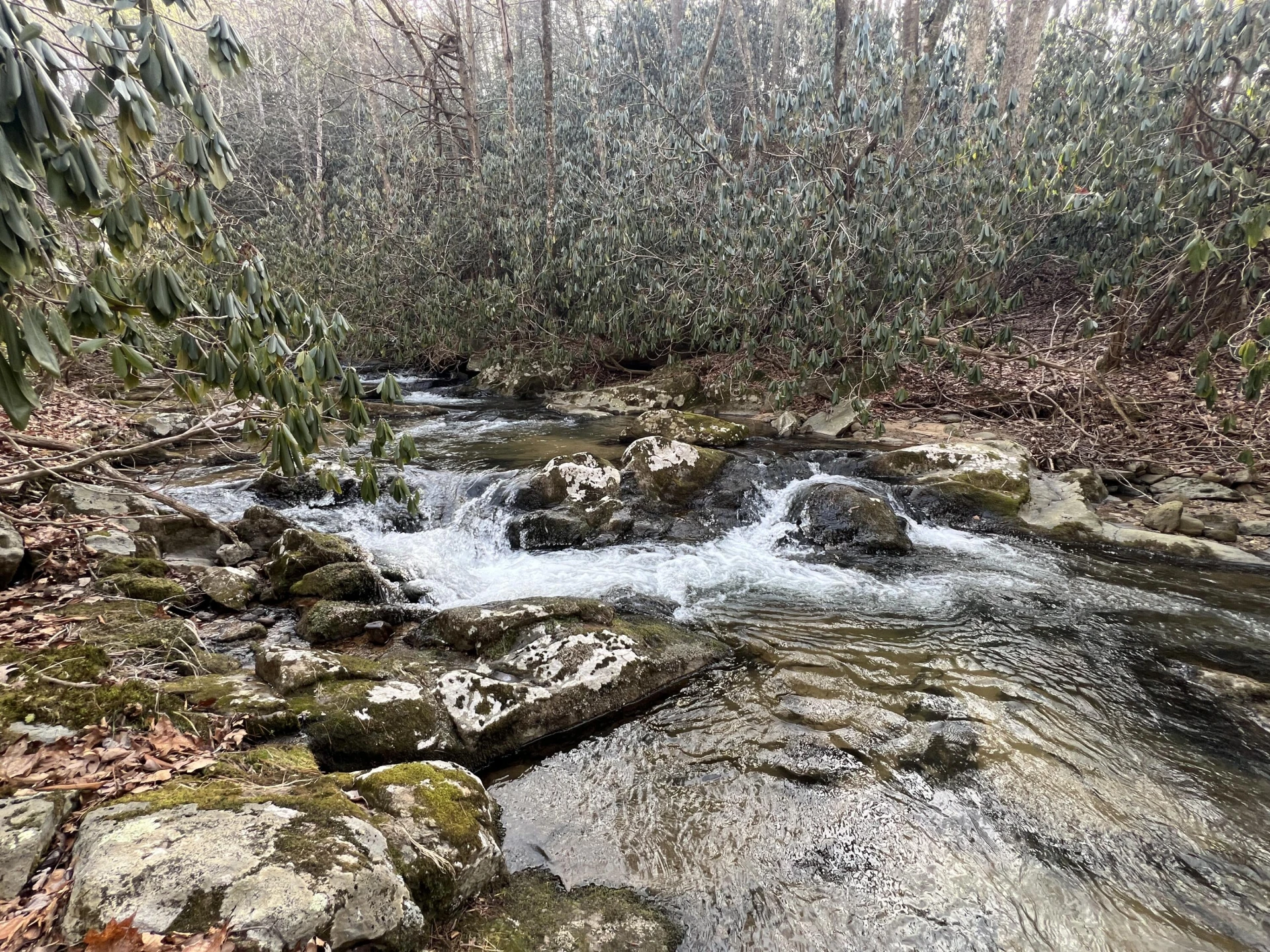 0 Bottom Creek RD - Photo 5