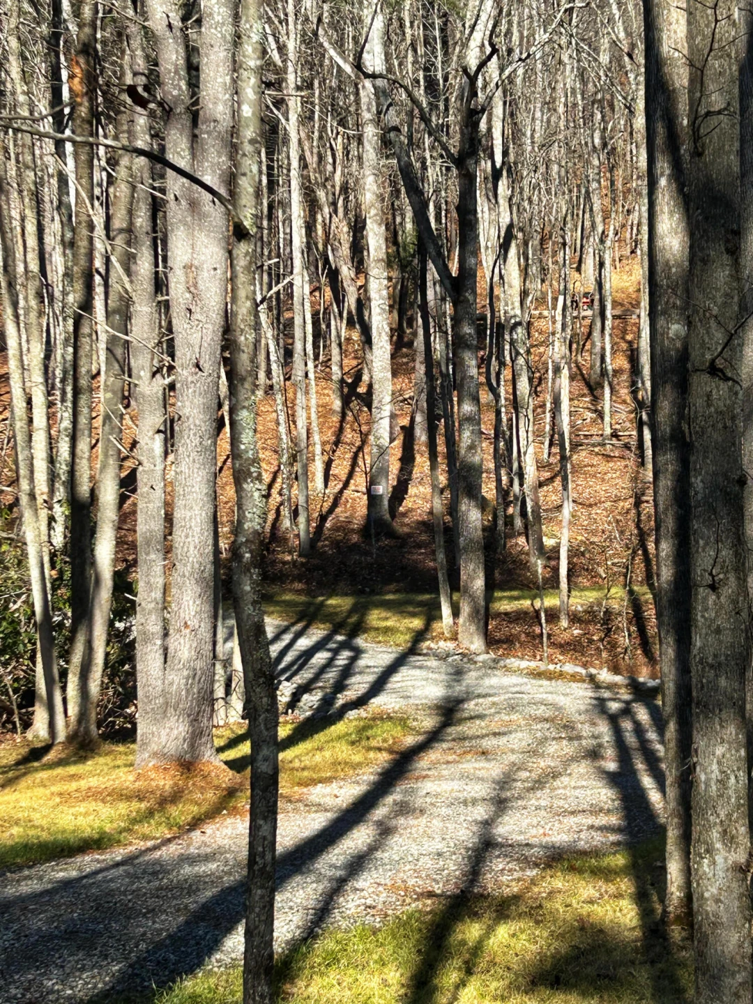 0 Bottom Creek RD - Photo 6