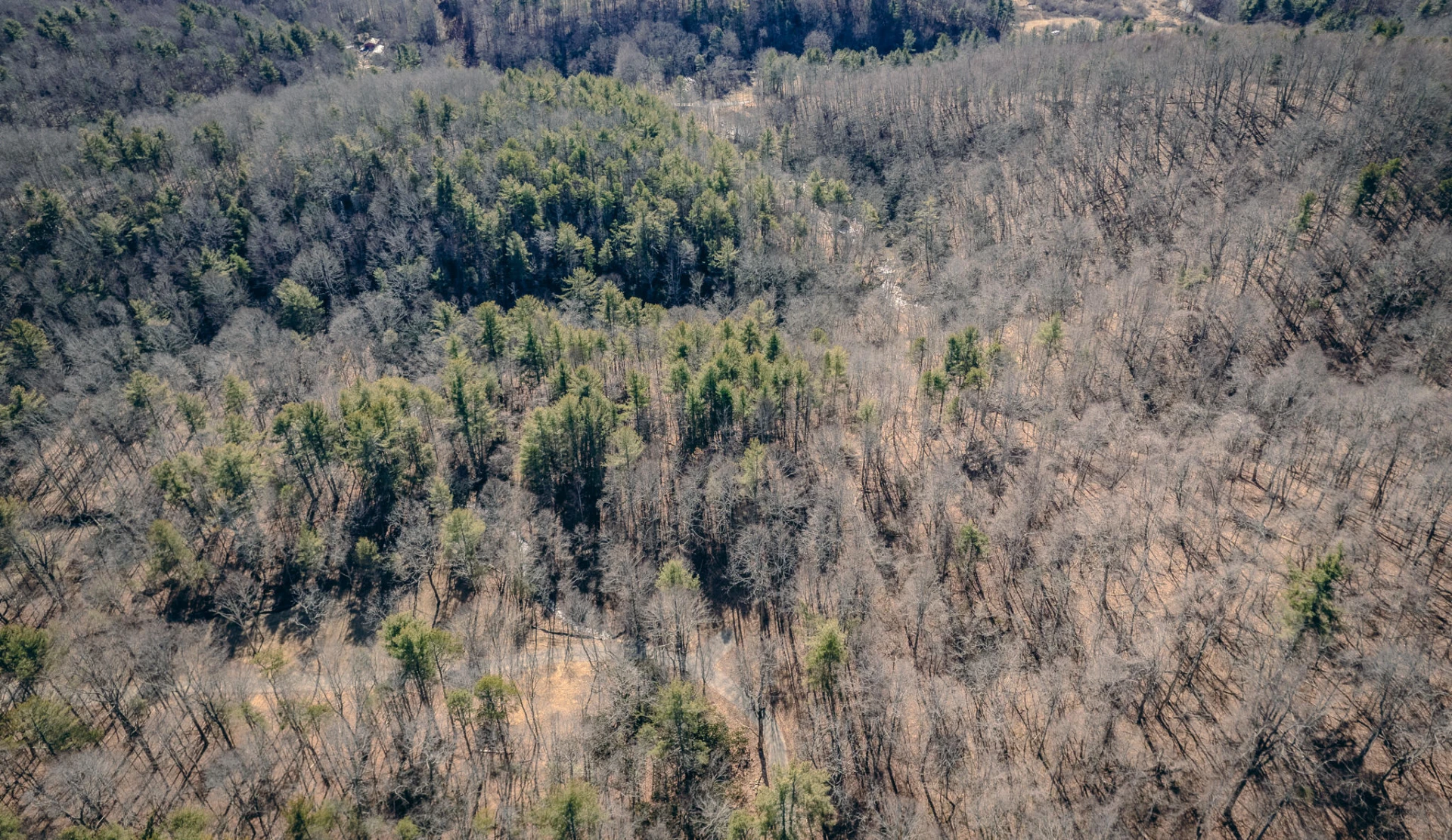 0 Bottom Creek RD - Photo 9