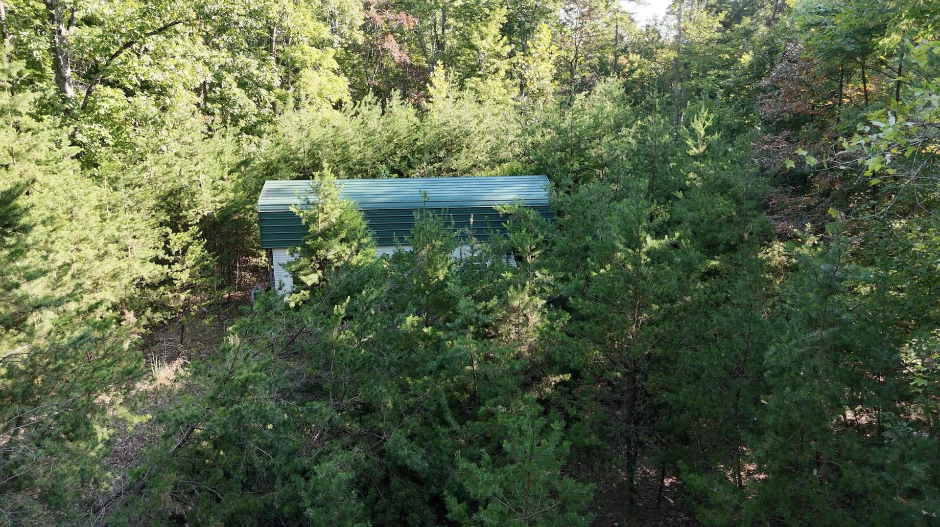 113 Foley RD