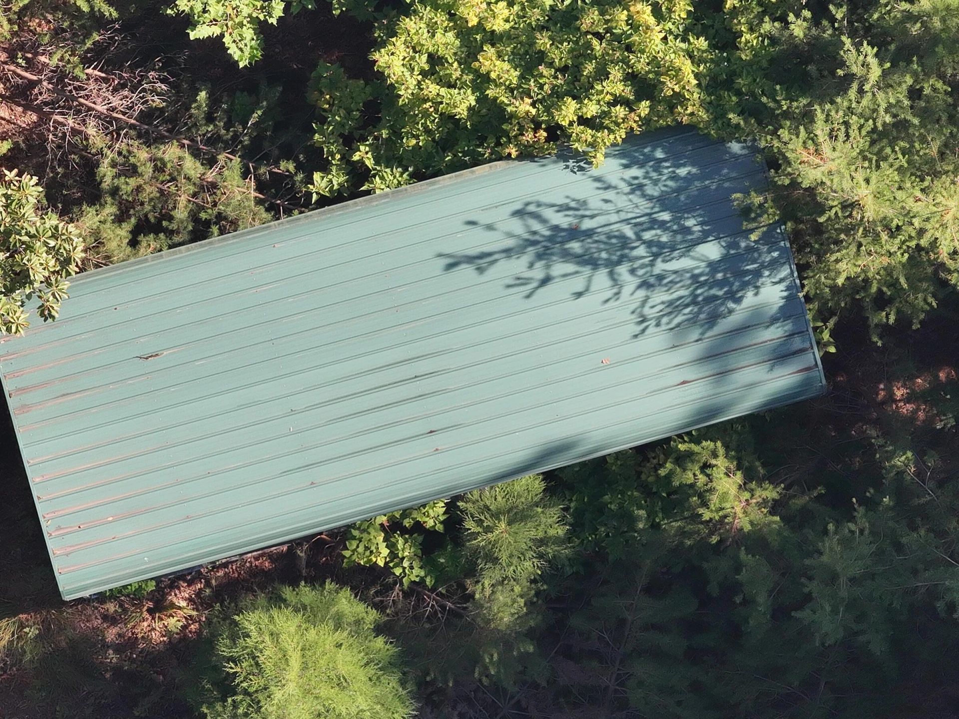 113 Foley RD - Photo 11