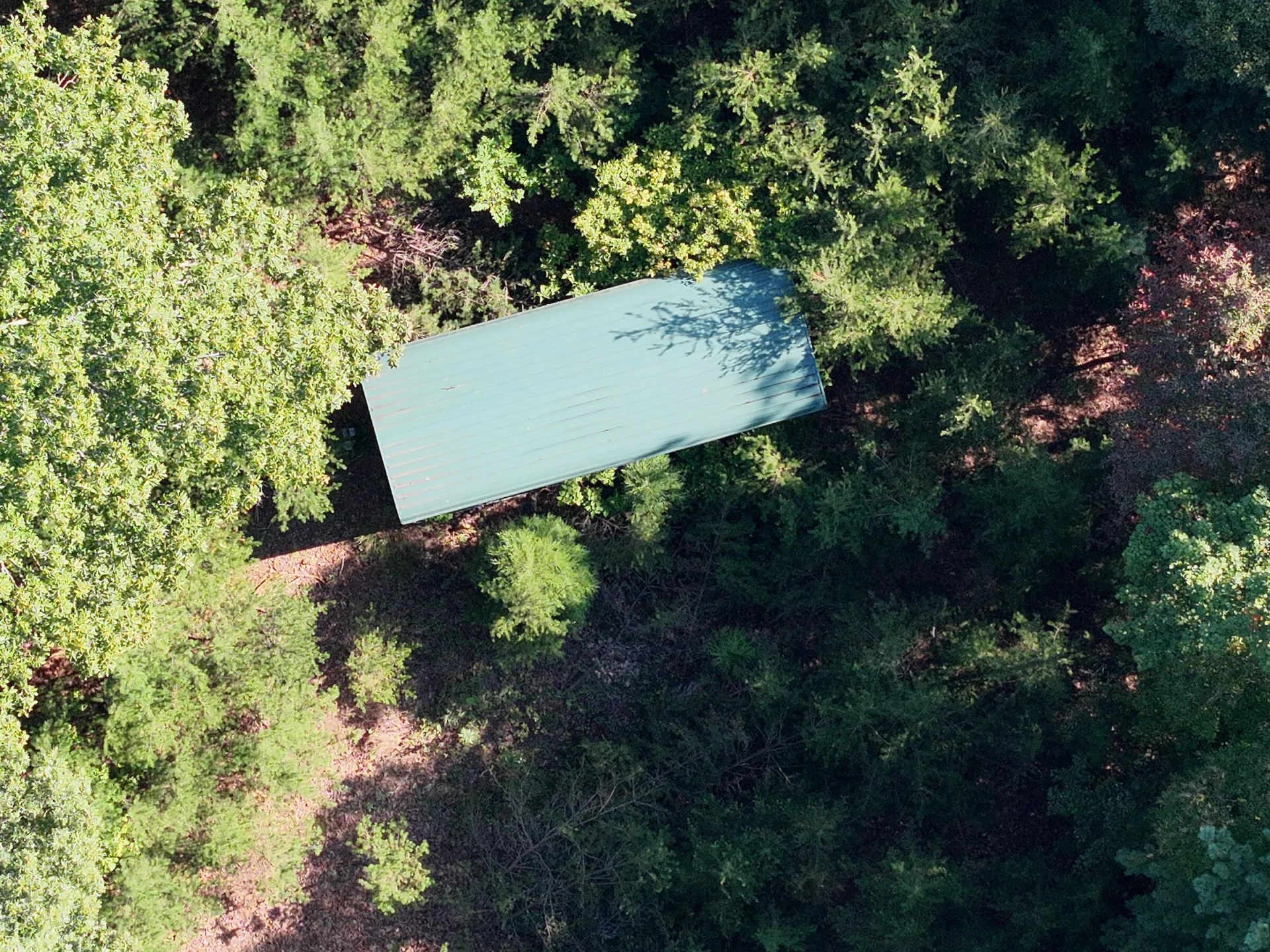 113 Foley RD - Photo 12