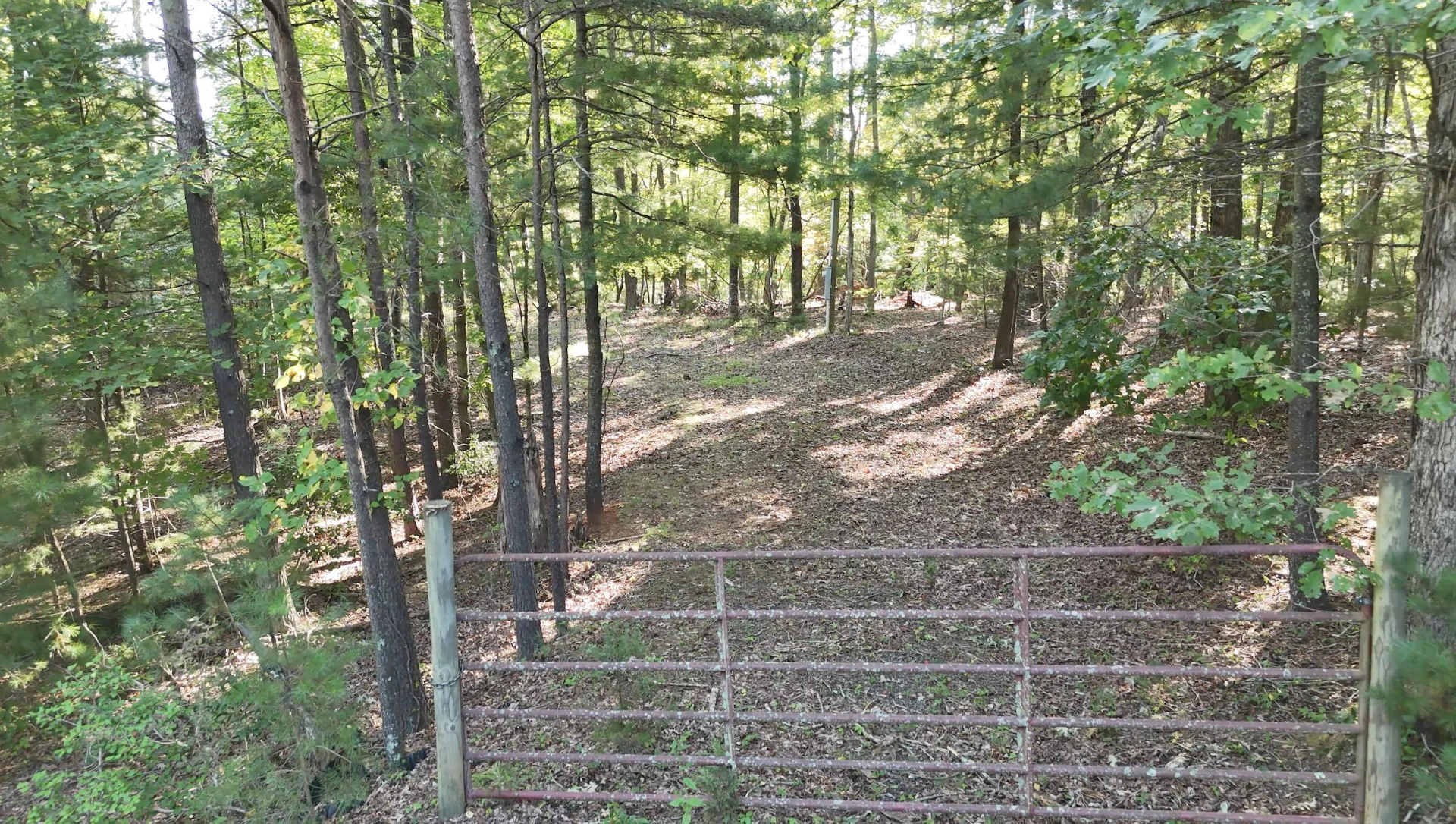 113 Foley RD - Photo 4