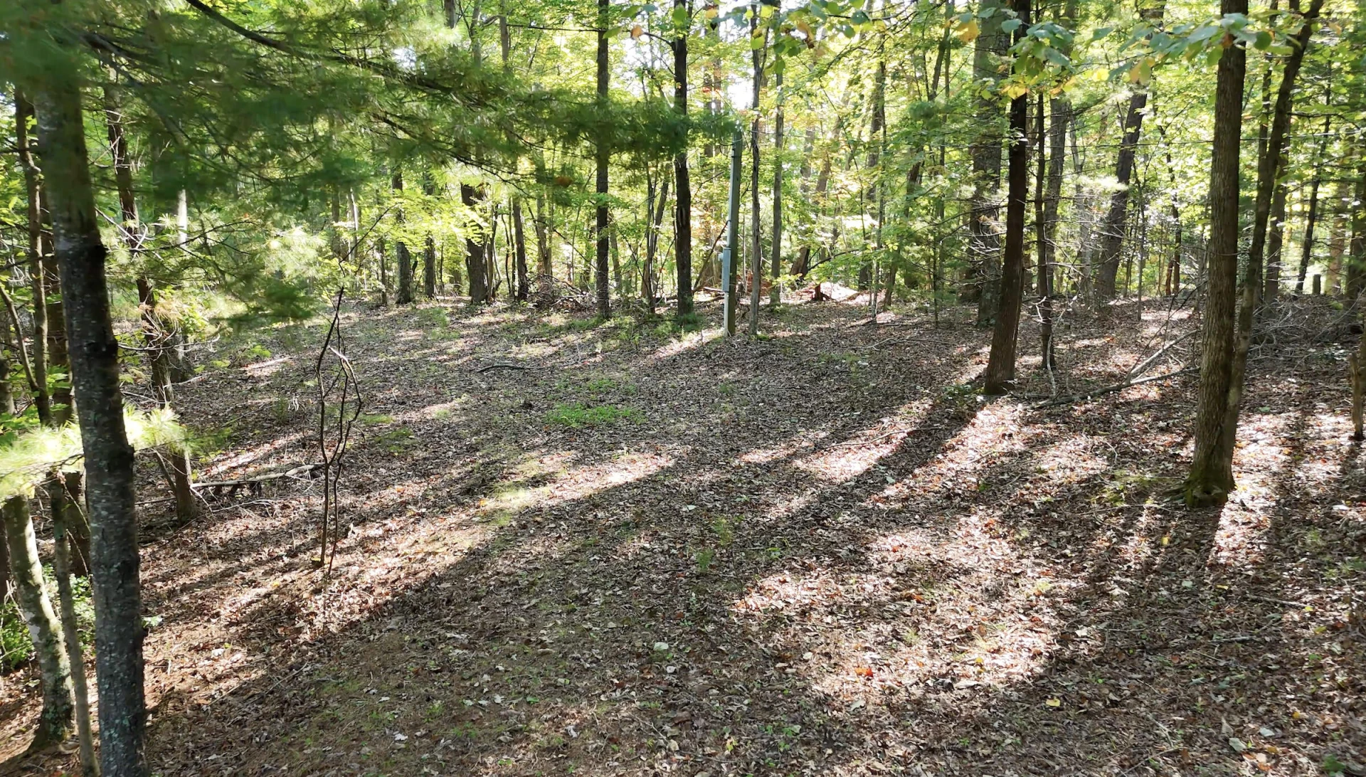 113 Foley RD - Photo 5