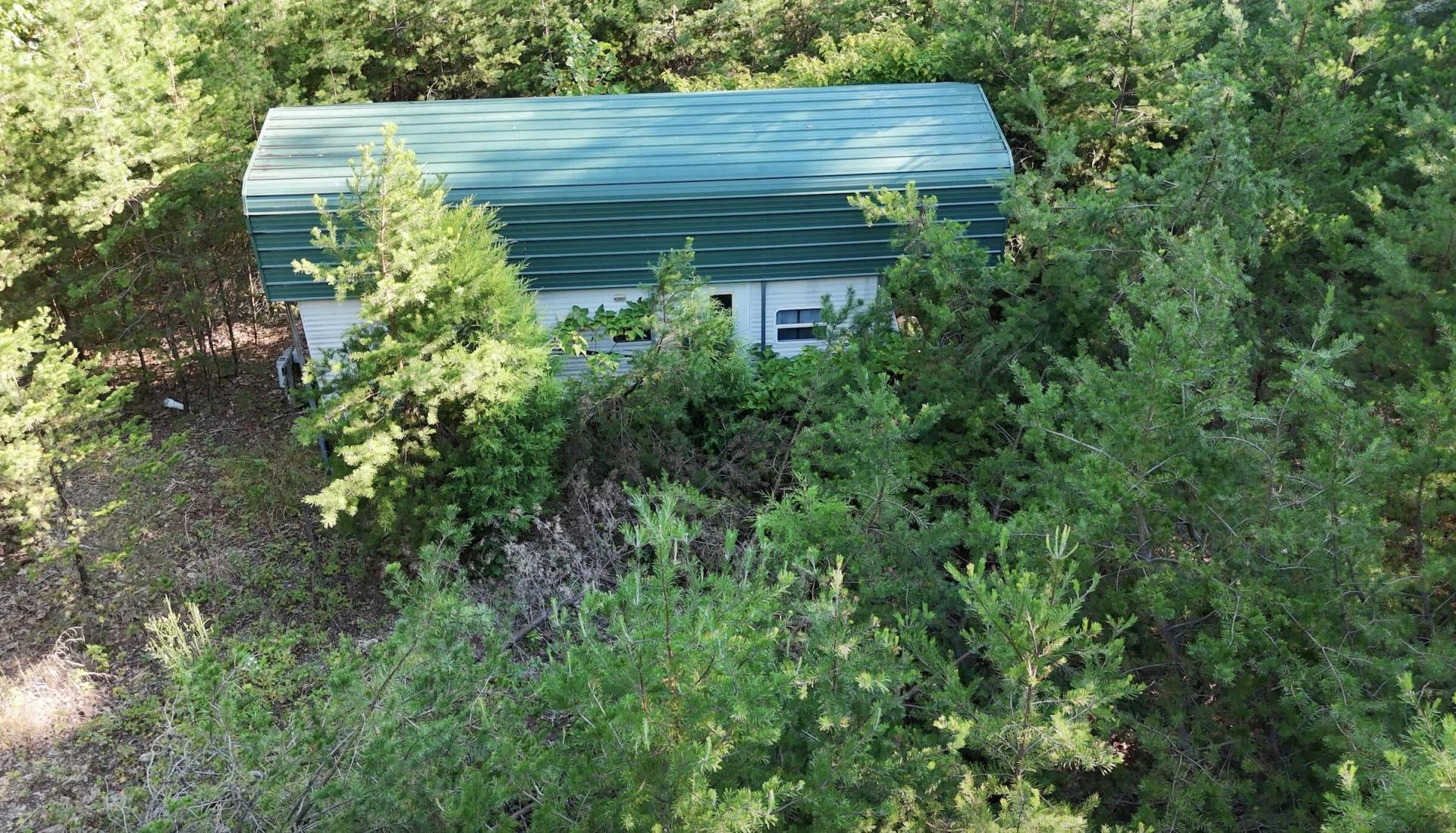 113 Foley RD - Photo 9