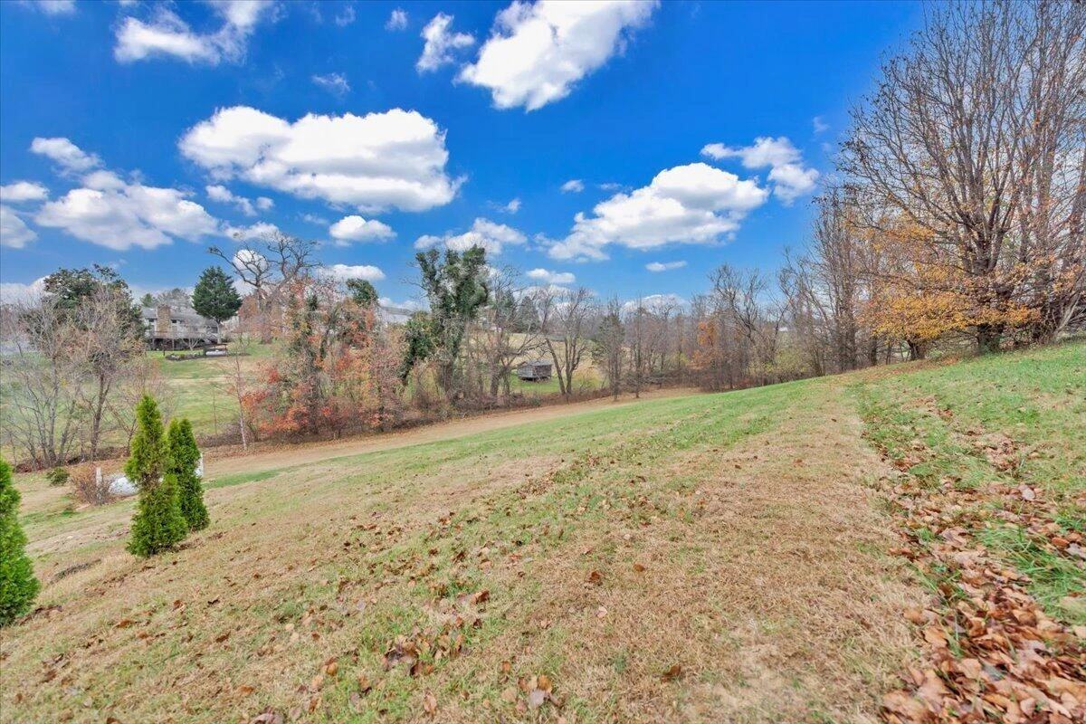 1074 Blueberry Hill CT - Photo 52