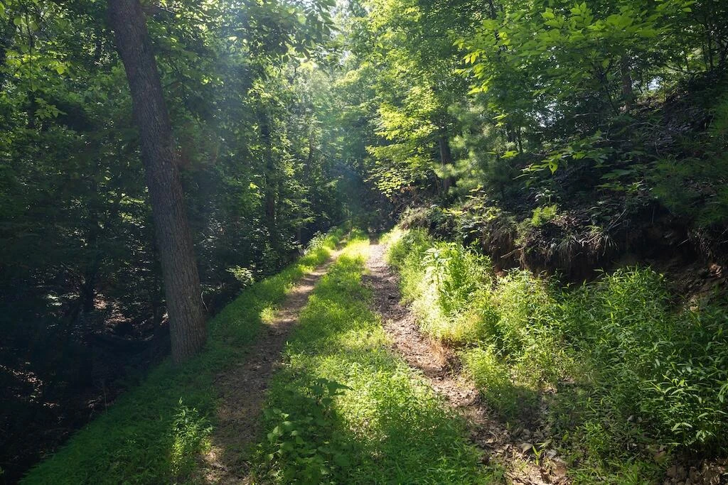 TBD Byrd Lodge RD - Photo 21