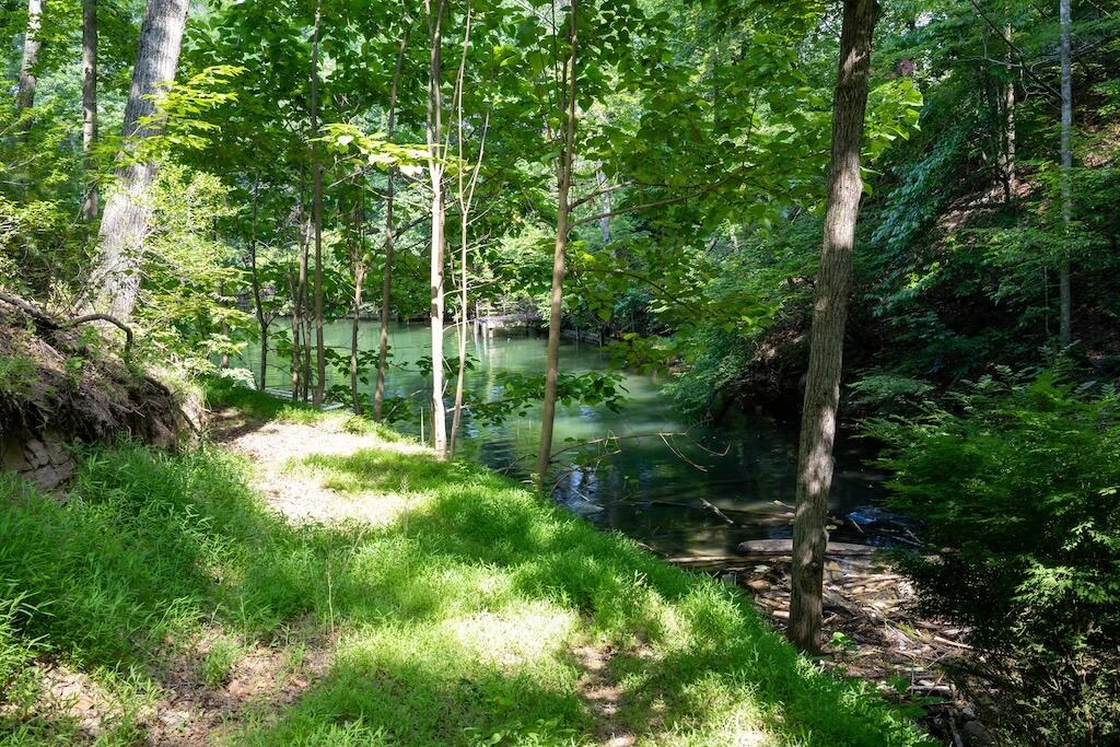 TBD Byrd Lodge RD - Photo 24