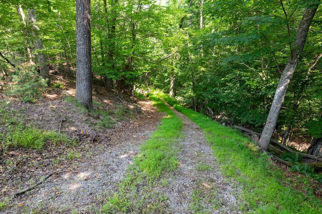 TBD Byrd Lodge RD - Photo 25