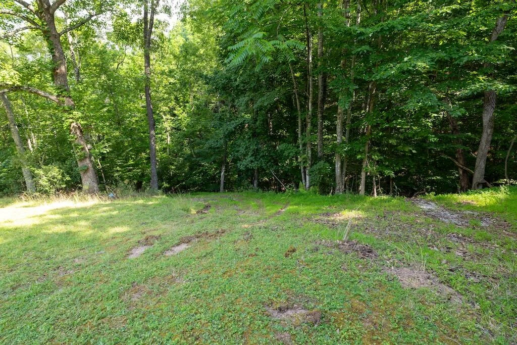 TBD Byrd Lodge RD - Photo 26