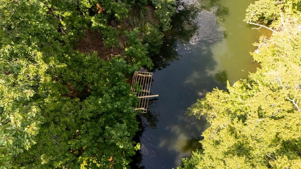 TBD Byrd Lodge RD - Photo 45