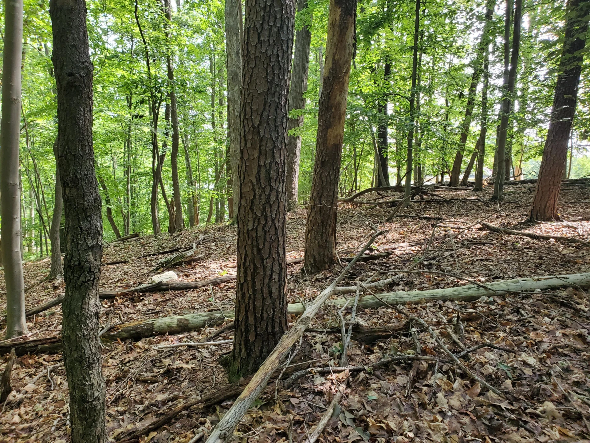 Lot 120 Park Way AVE - Photo 3