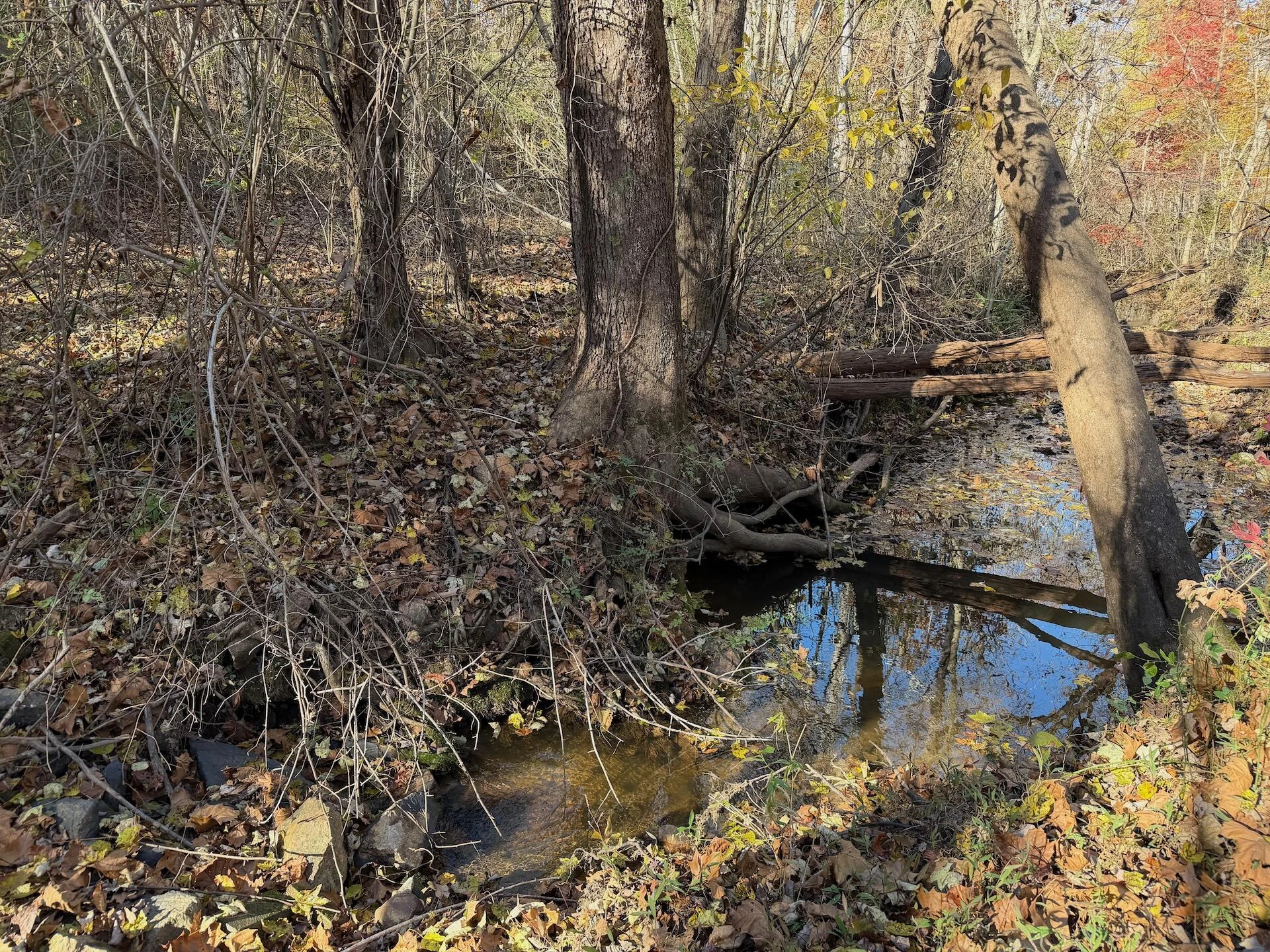 0 Beulah RD - Photo 11