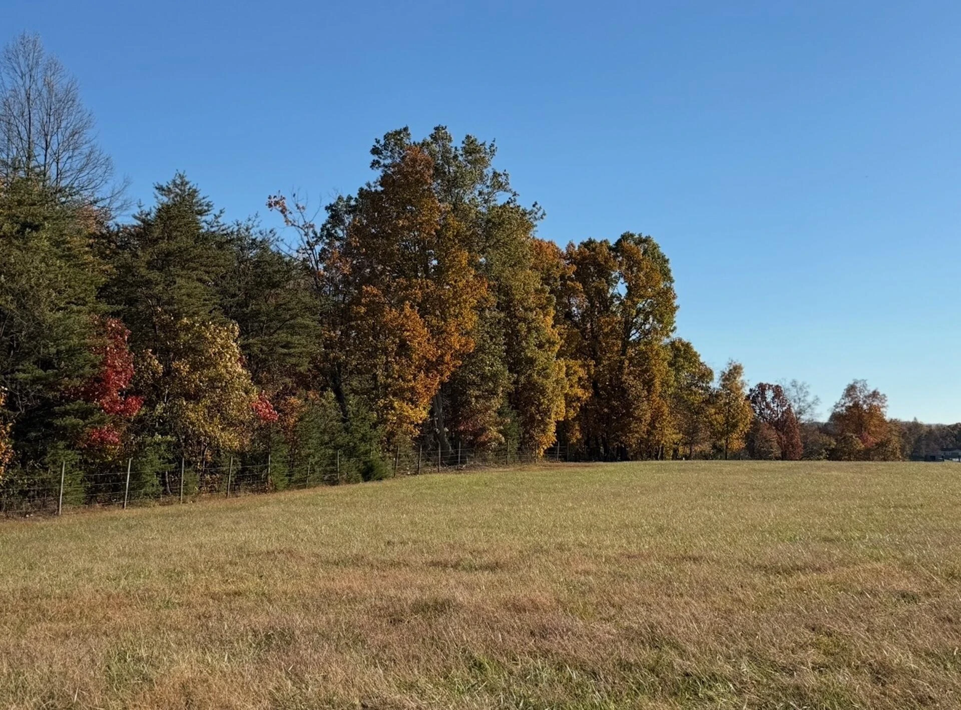 0 Beulah RD - Photo 18