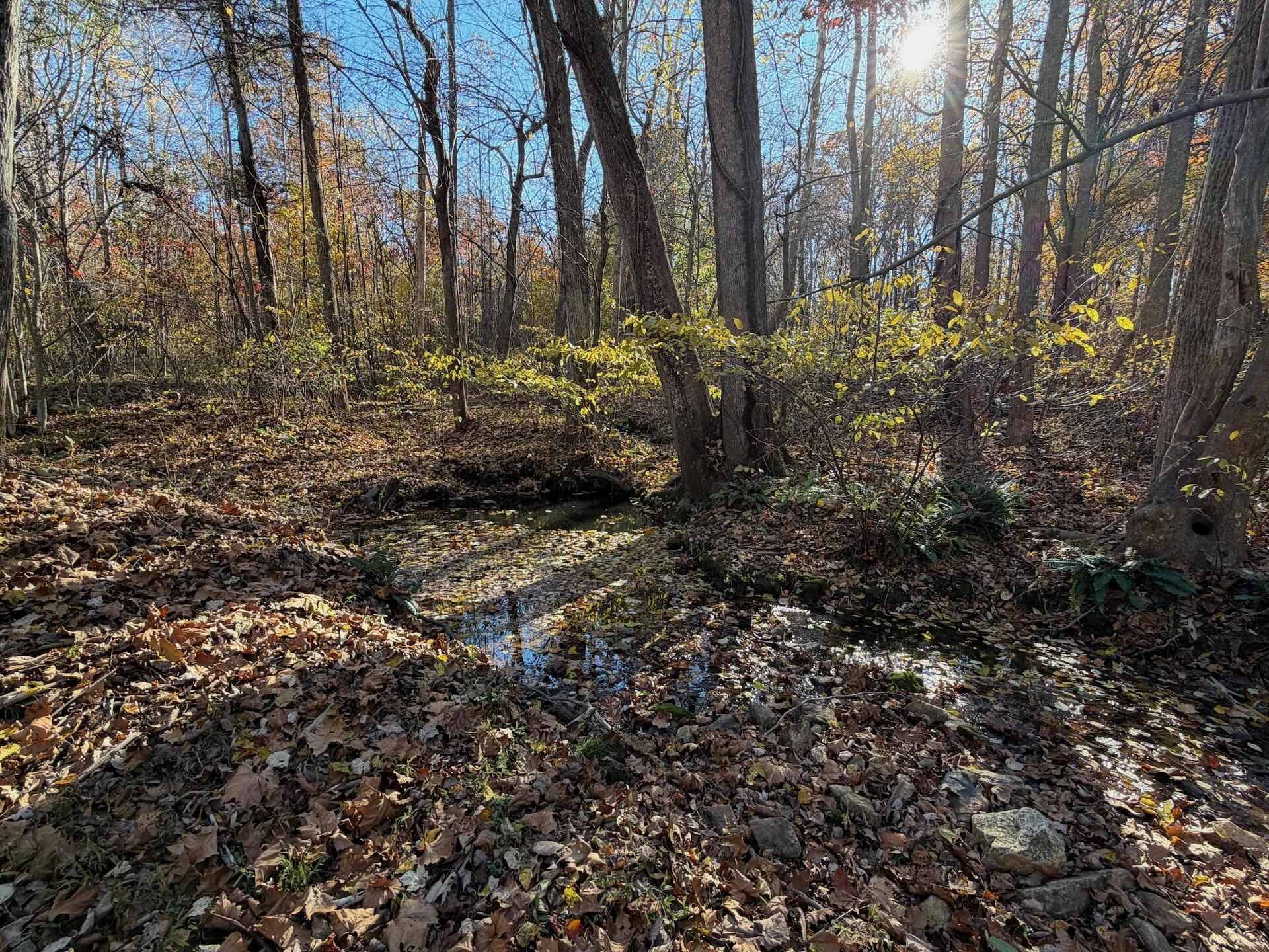 0 Beulah RD - Photo 20