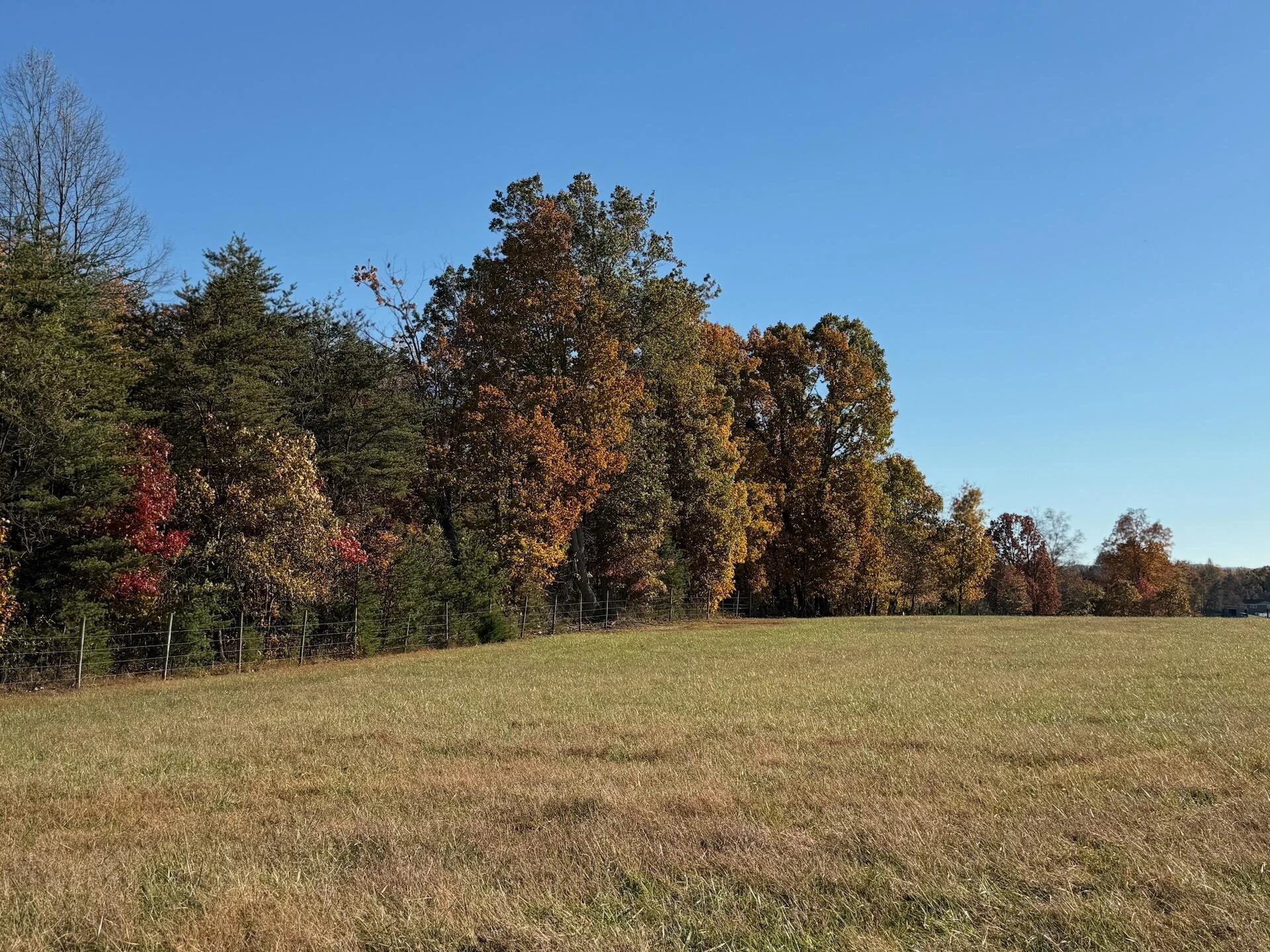 0 Beulah RD - Photo 24