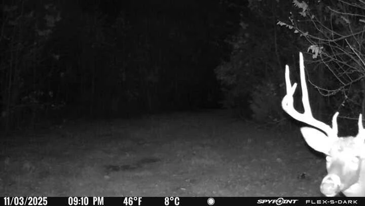 0 Beulah RD - Photo 32
