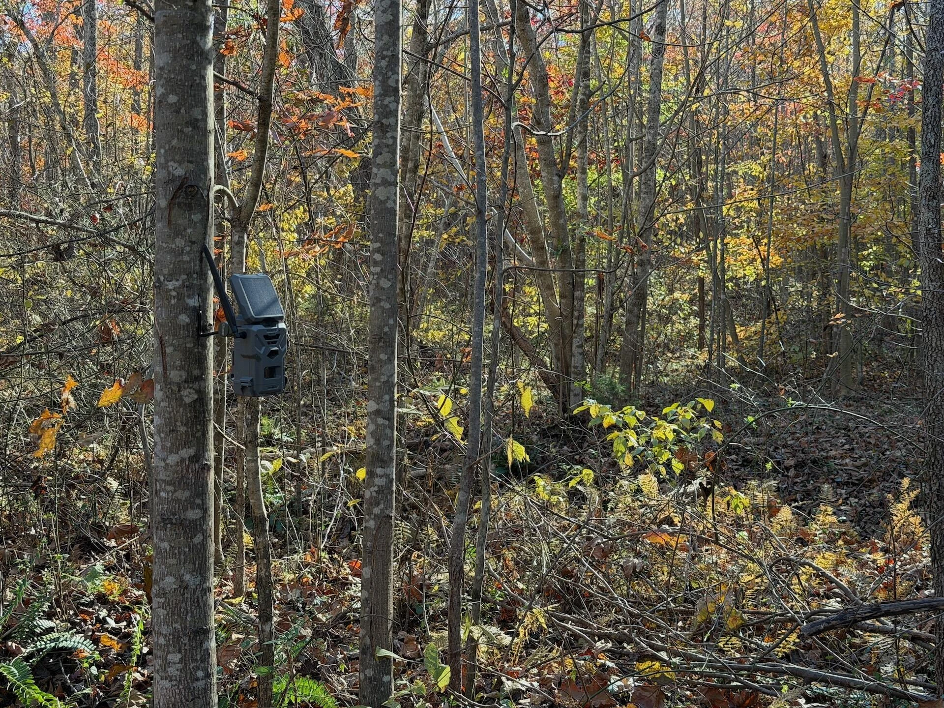 0 Beulah RD - Photo 42