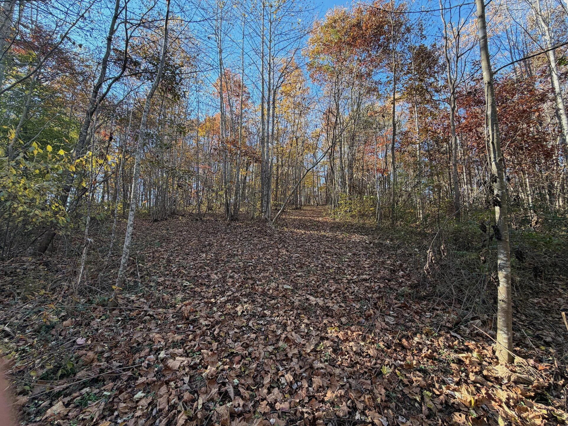 0 Beulah RD - Photo 45