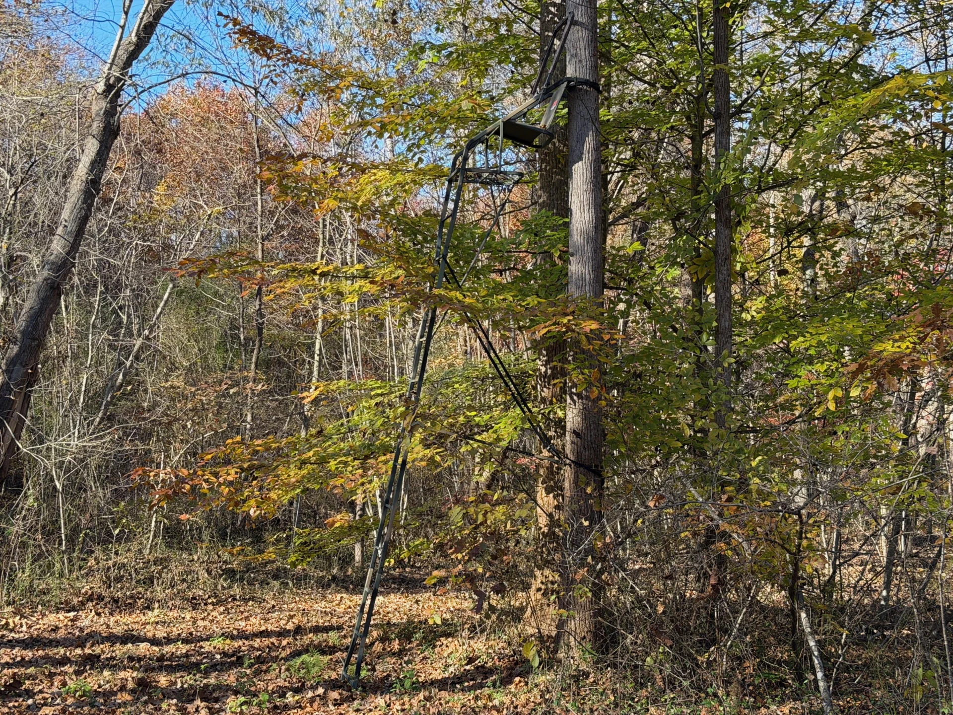0 Beulah RD - Photo 48