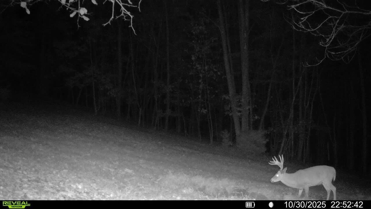 0 Beulah RD - Photo 56