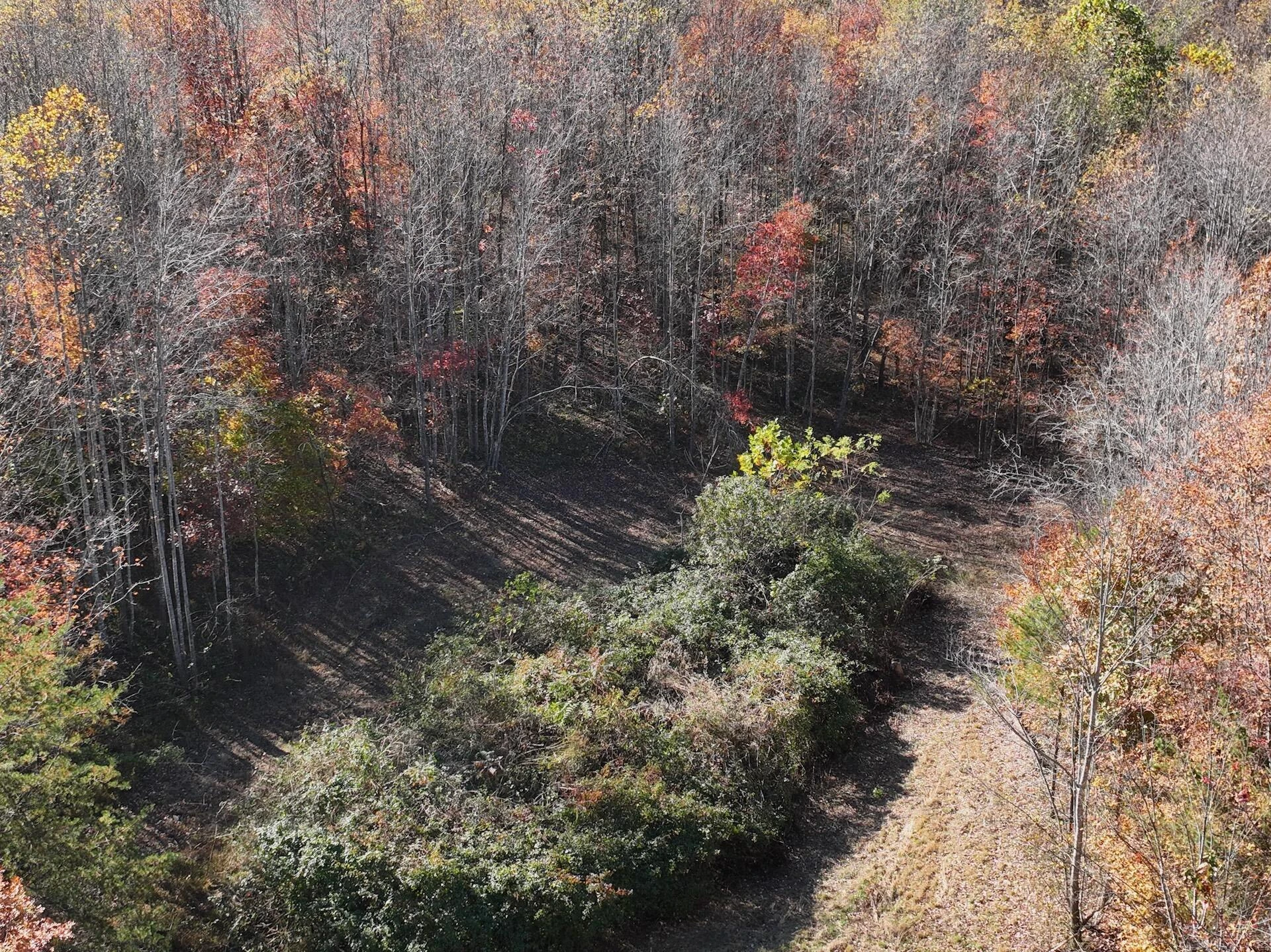 0 Beulah RD - Photo 7