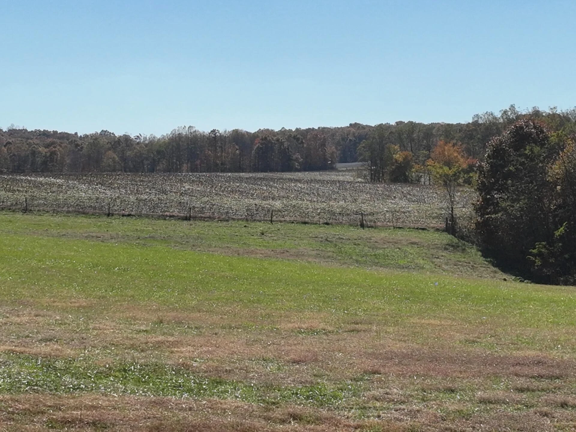 0 Beulah RD - Photo 75