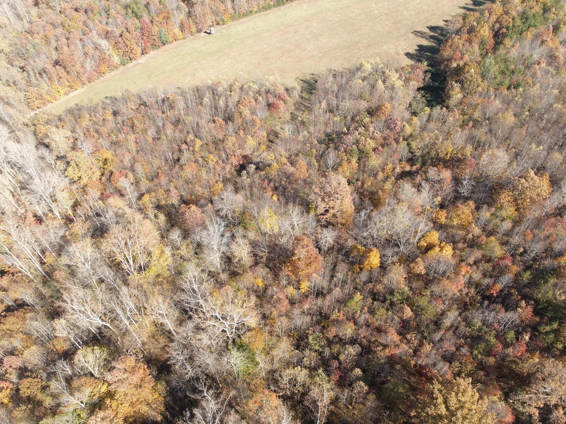 0 Beulah RD - Photo 87