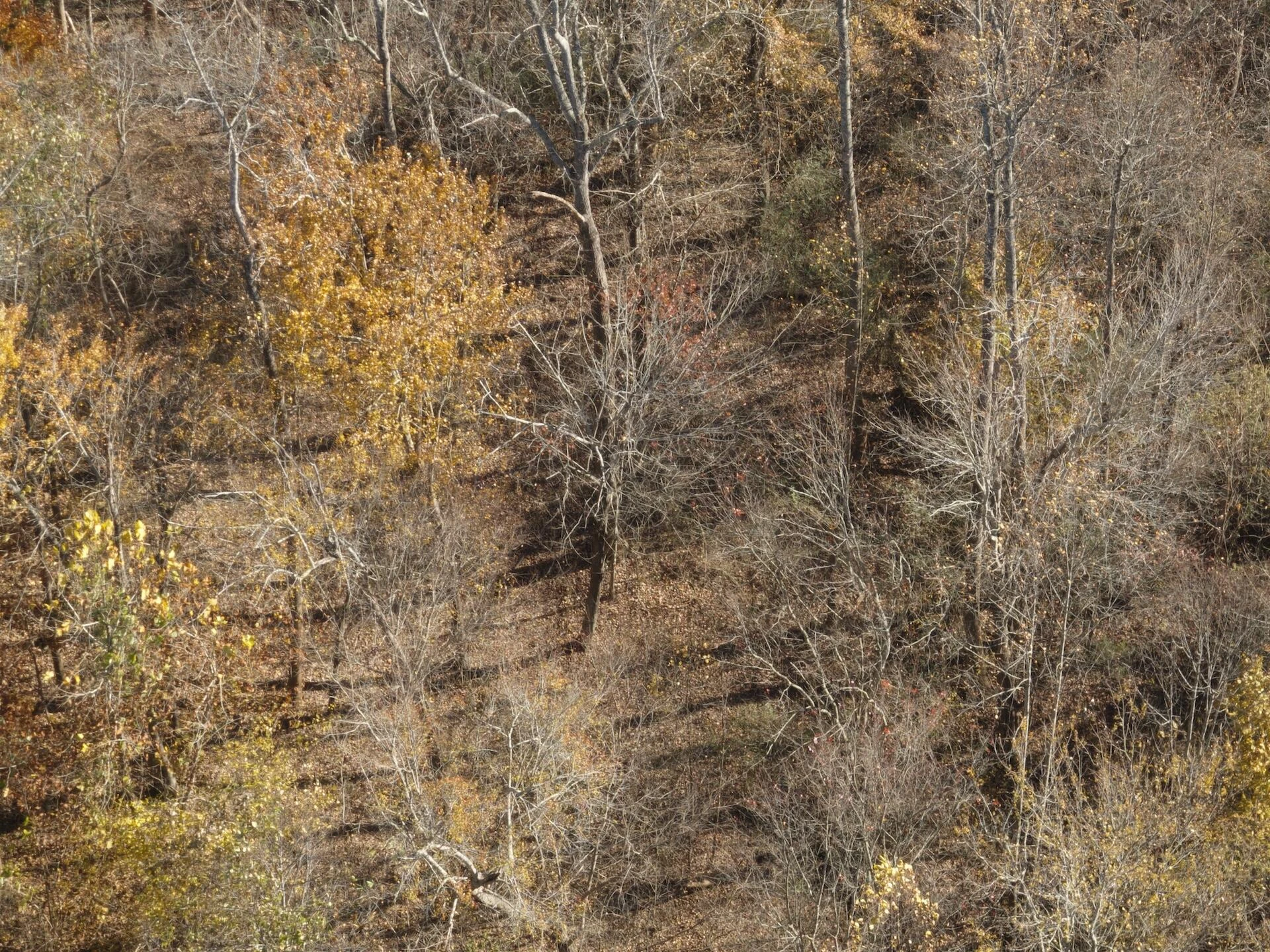 0 Beulah RD - Photo 89