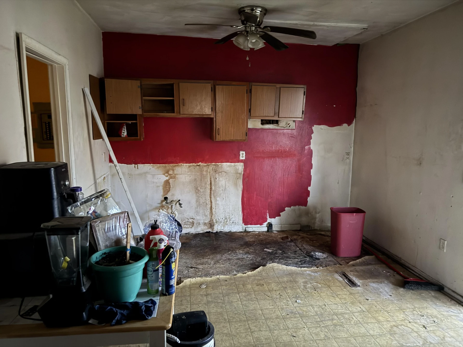 1710 NW Mercer AVE NW #2 - Photo 6