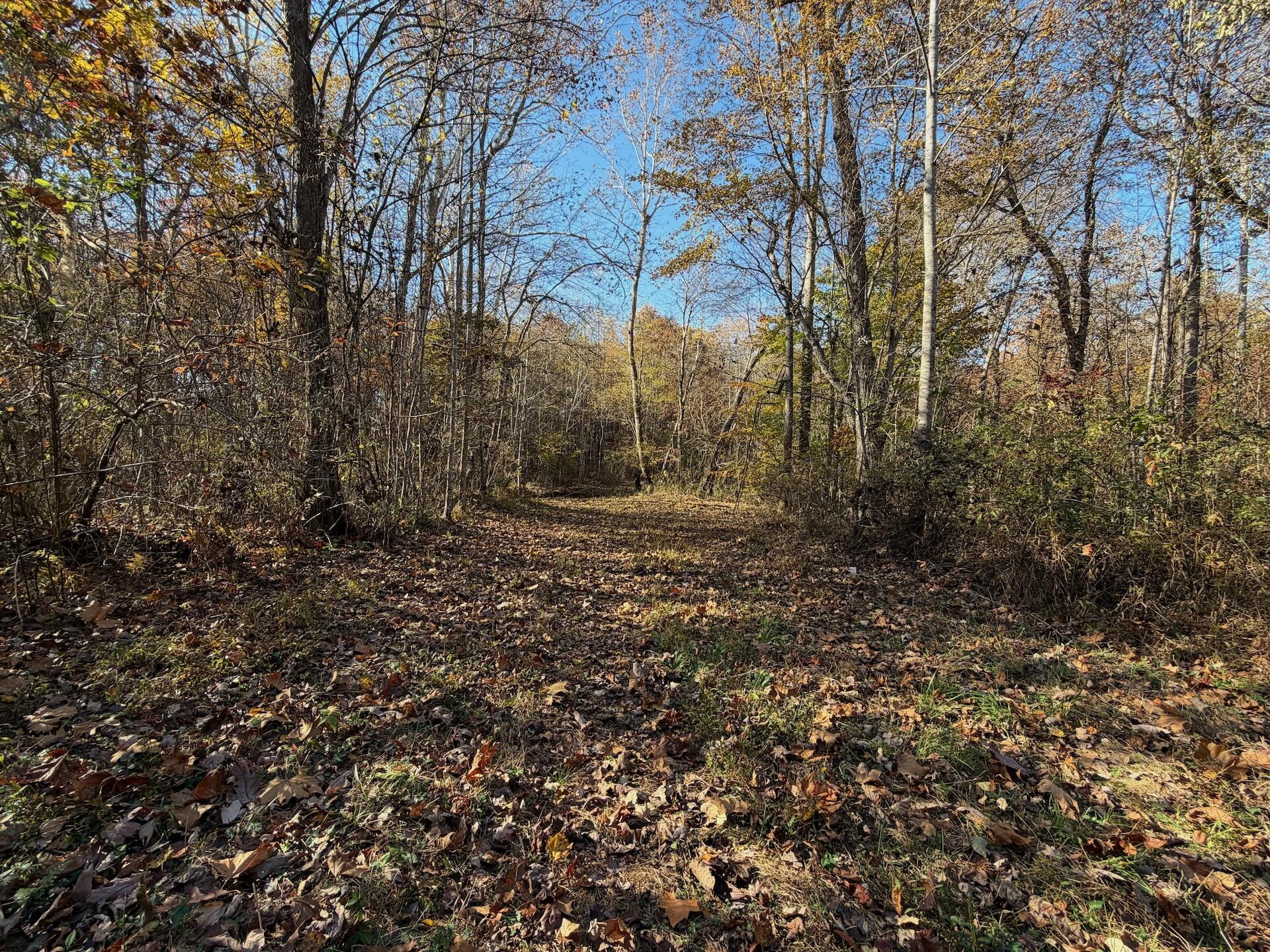 0 Beulah RD - Photo 10