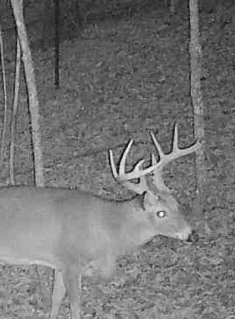 0 Beulah RD - Photo 16