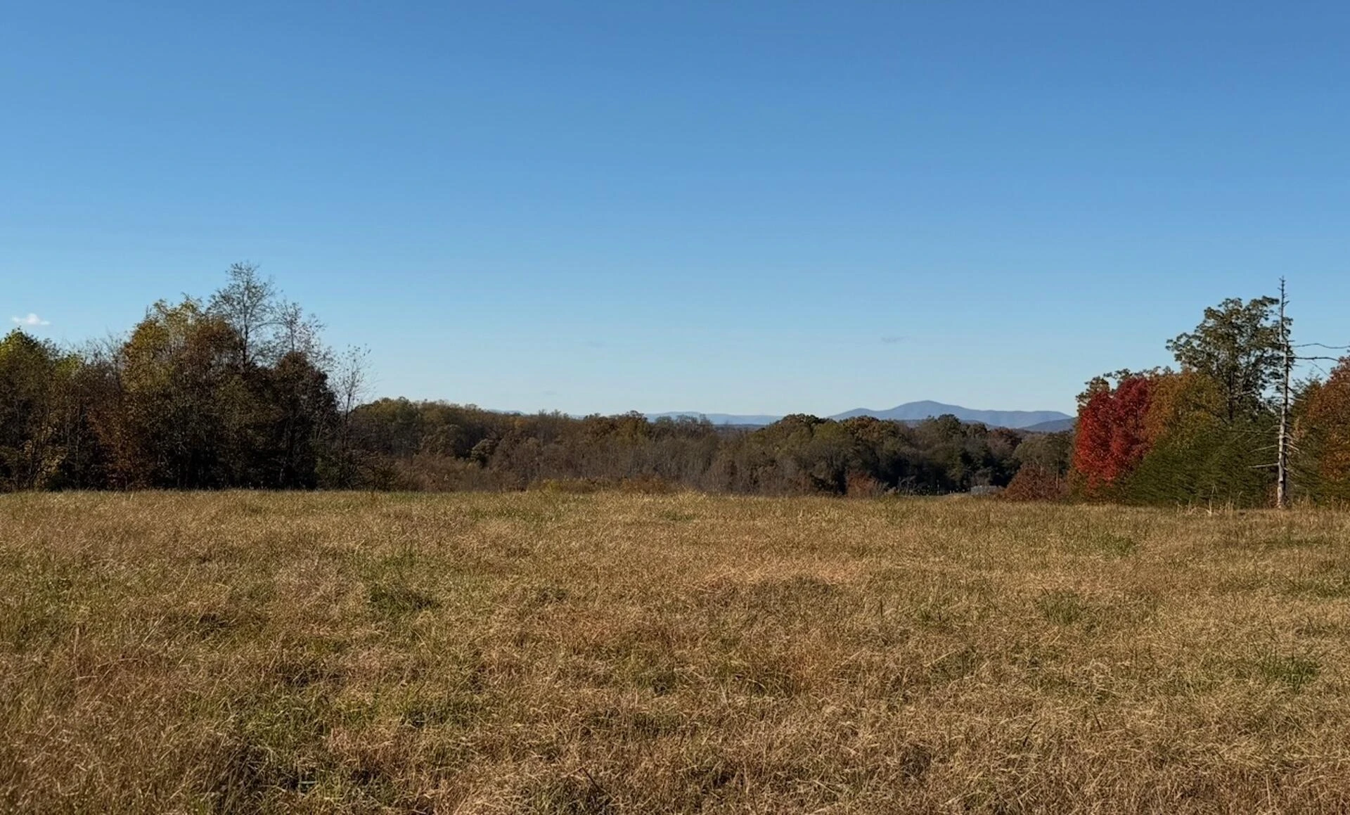 0 Beulah RD - Photo 23