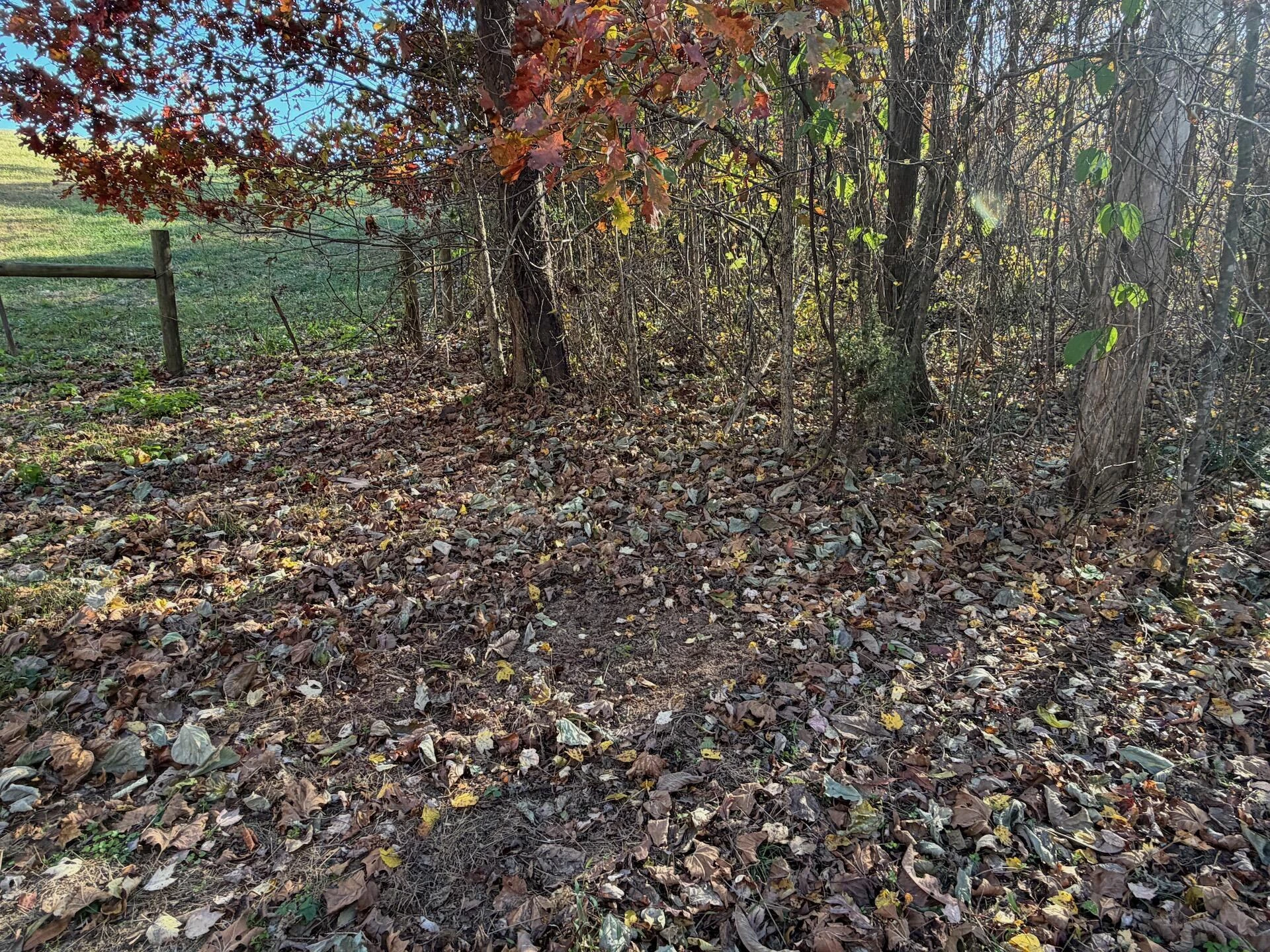 0 Beulah RD - Photo 25