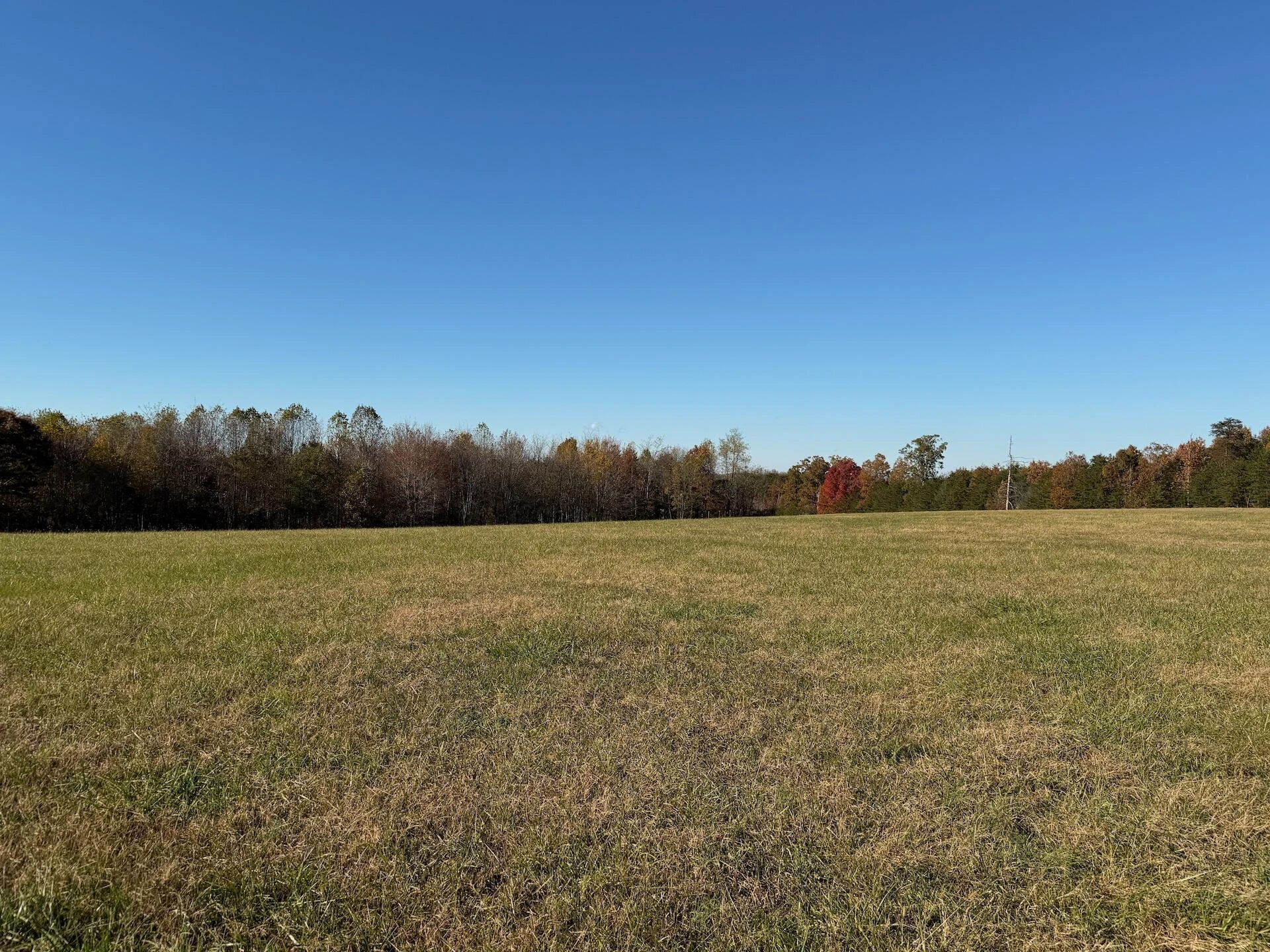 0 Beulah RD - Photo 32