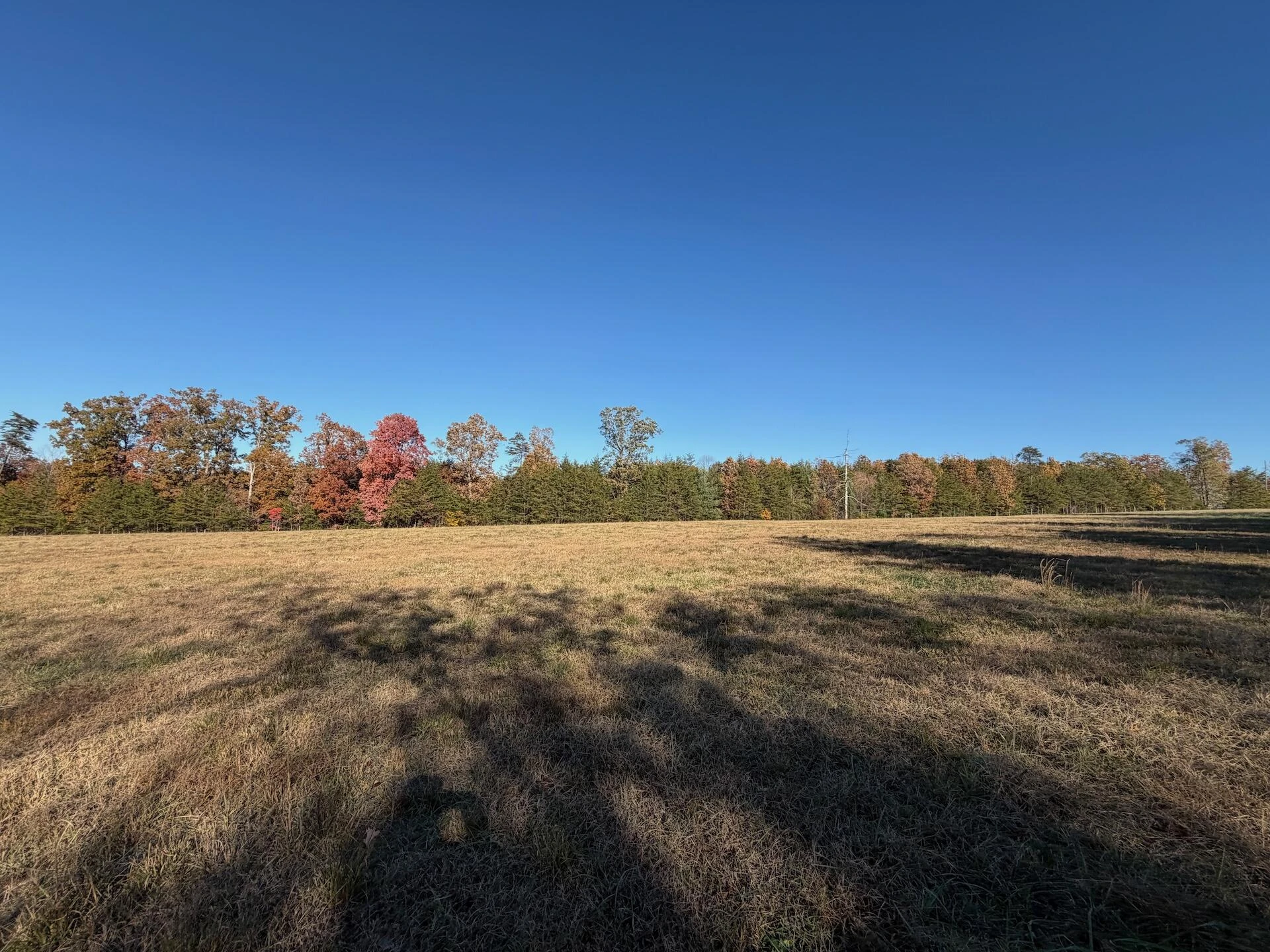 0 Beulah RD - Photo 38