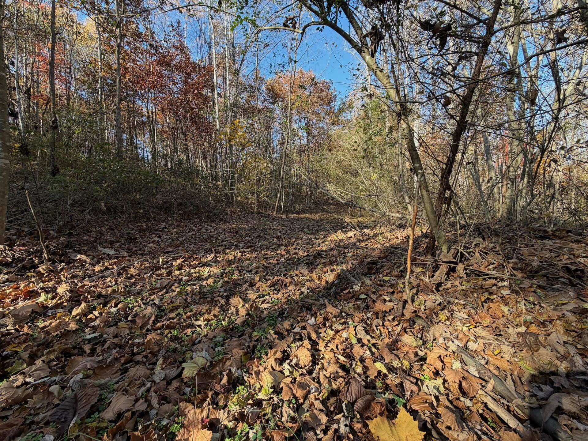 0 Beulah RD - Photo 41