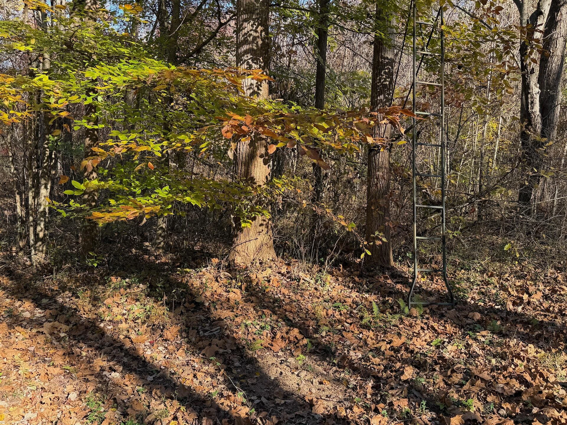 0 Beulah RD - Photo 44