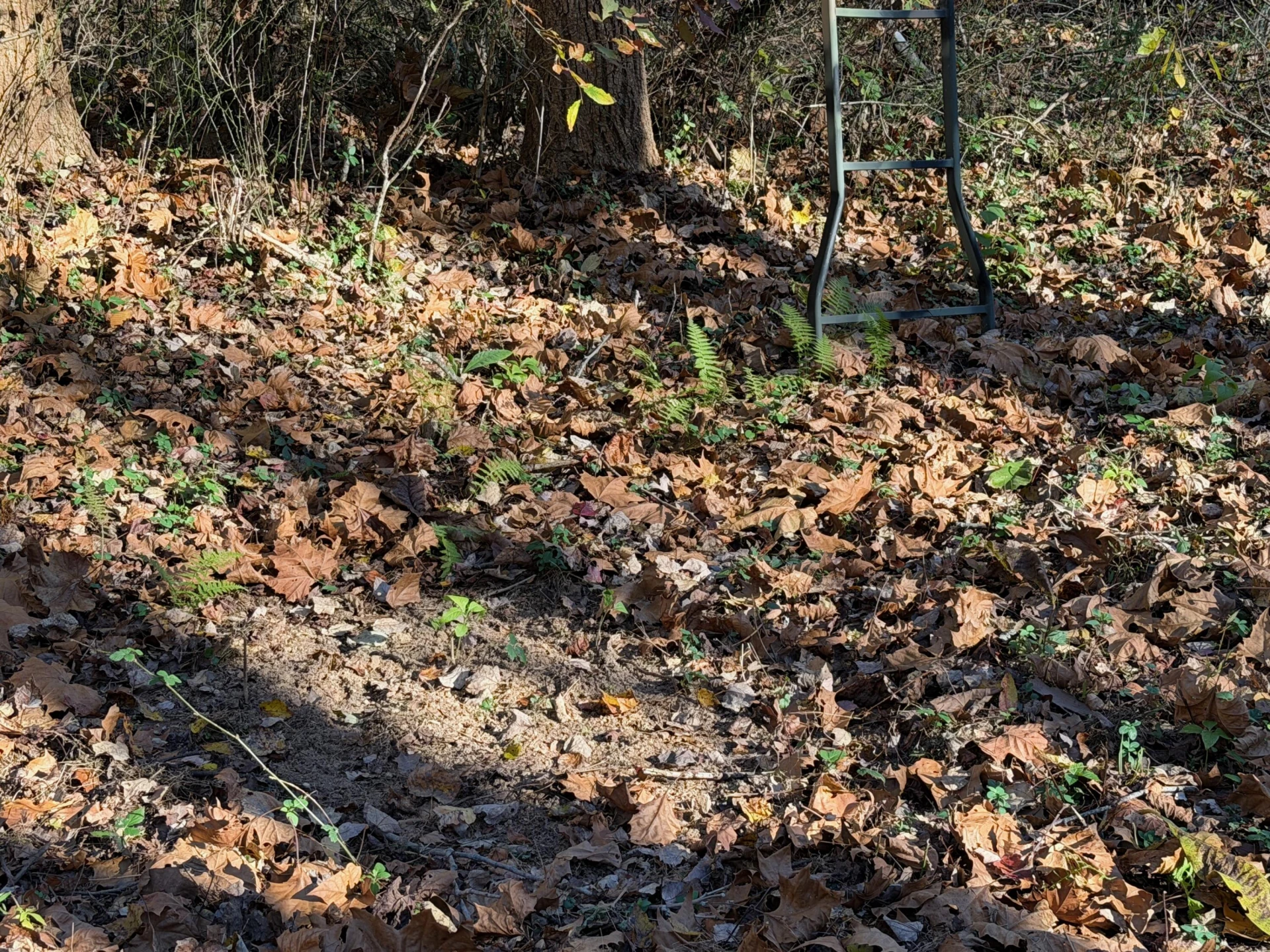 0 Beulah RD - Photo 45