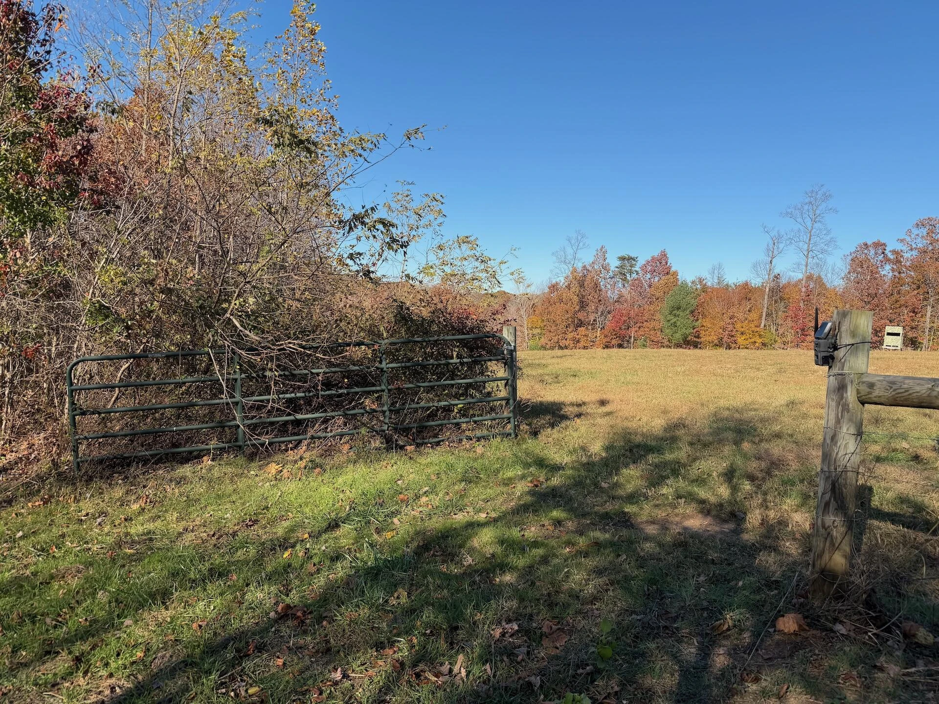0 Beulah RD - Photo 48