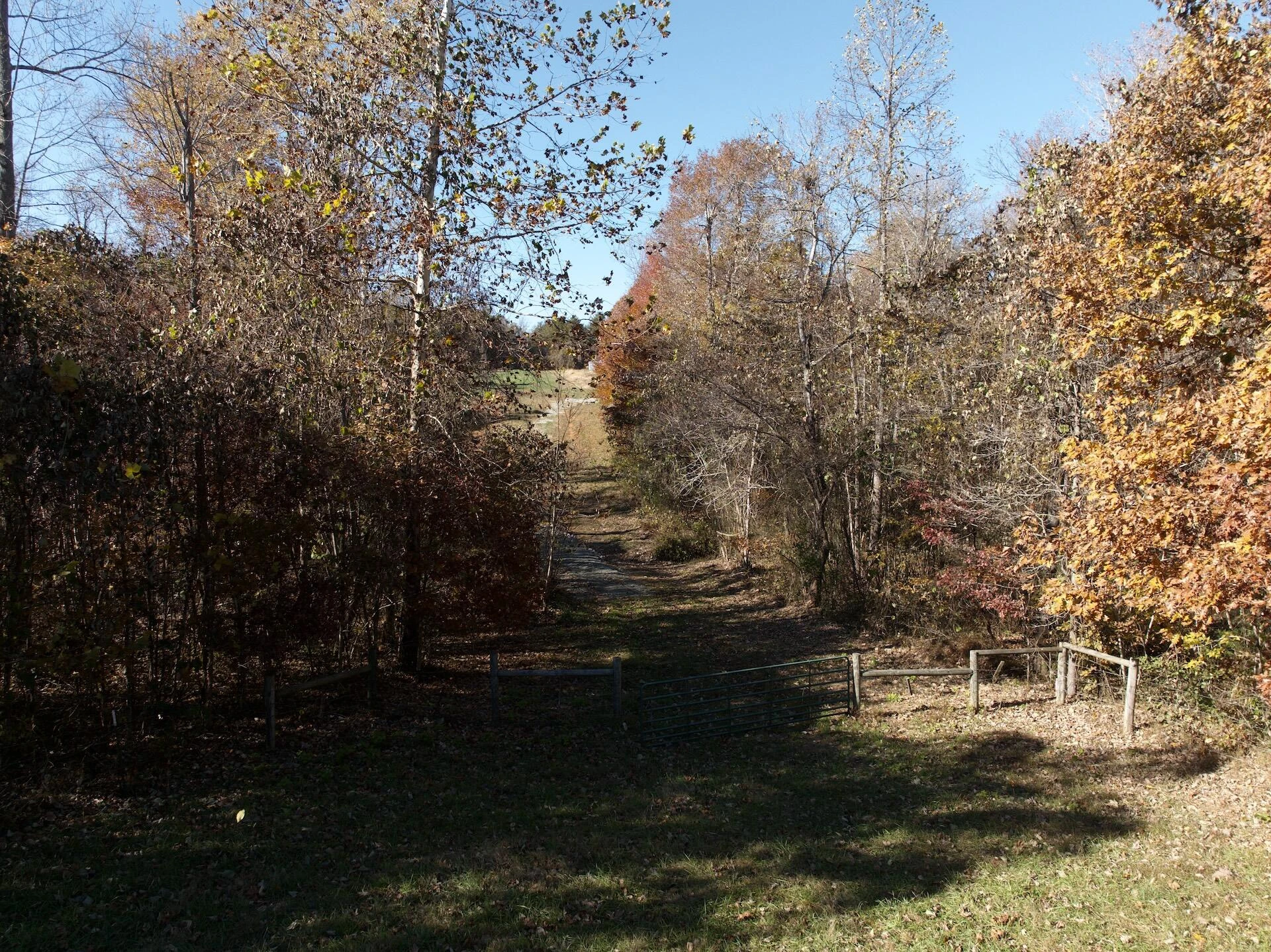 0 Beulah RD - Photo 55