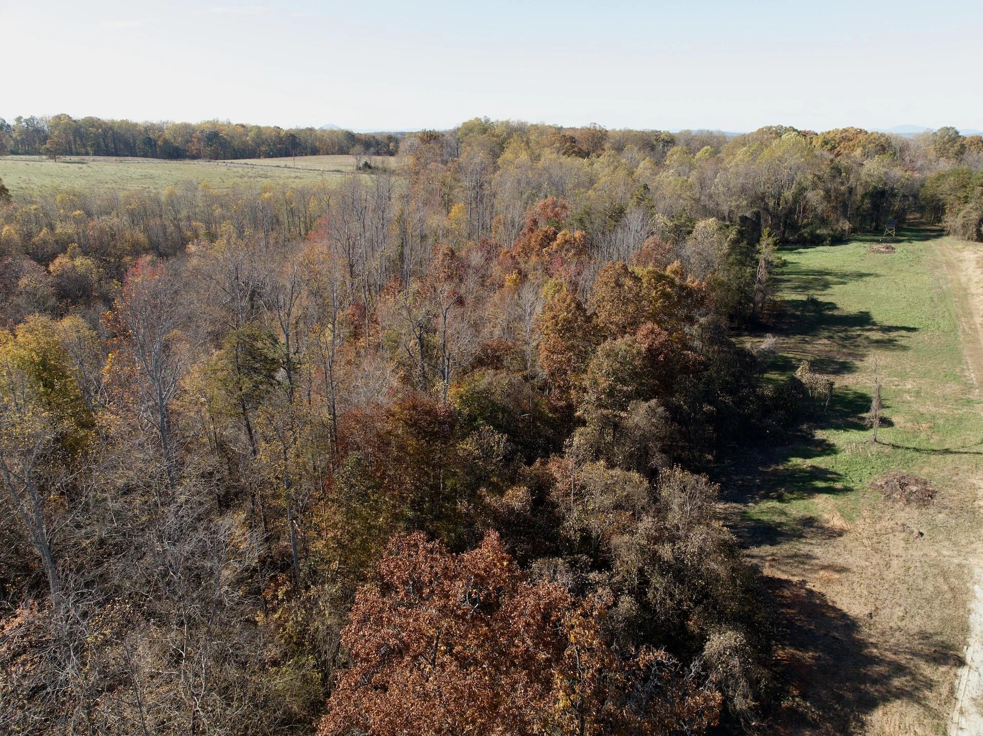 0 Beulah RD - Photo 66