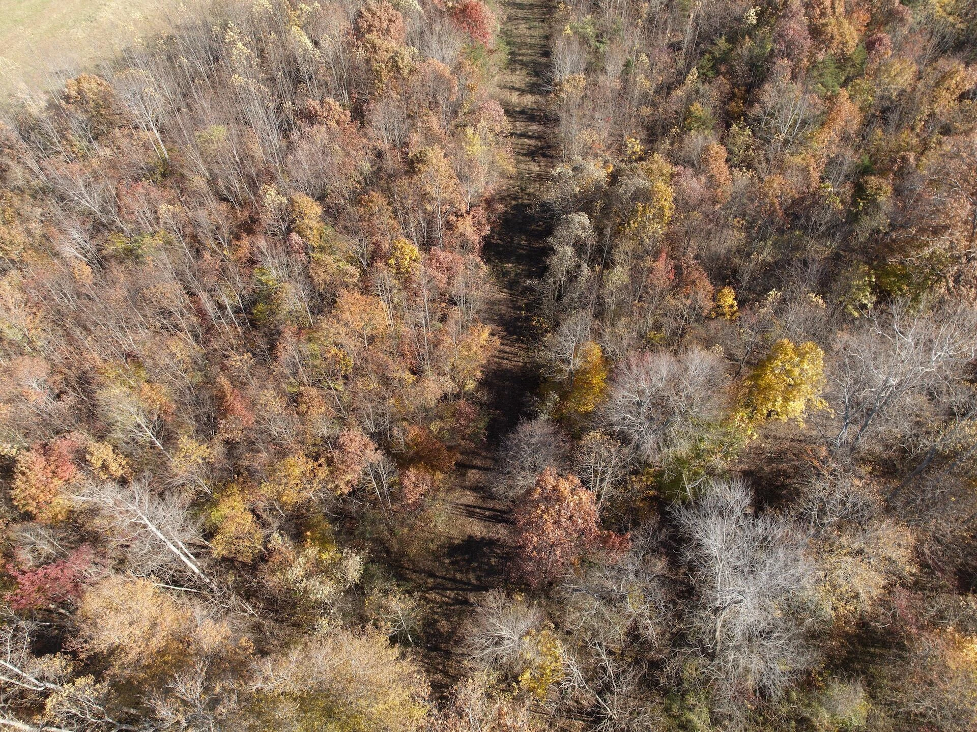 0 Beulah RD - Photo 85